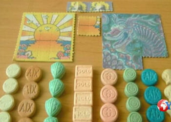Stazioni Sicure. A Messina il cane antidroga ha scoperto droga ad una giovane coppia, lei con LSD e MDMA nascosta nelle parti intime