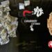 Catania. Spaccia droga in largo Rosolino Pilo, in carcere 20enne