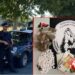 Catania. Marijuana, cocaina e hashish nello scooter, arrestato