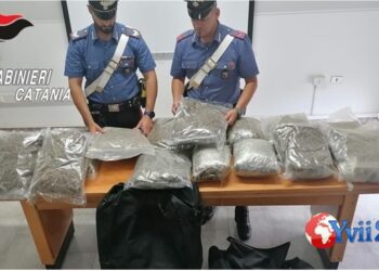 Prov. Catania. Oltre 20 chili di marijuana in auto, due arresti