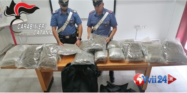 Prov. Catania. Oltre 20 chili di marijuana in auto, due arresti