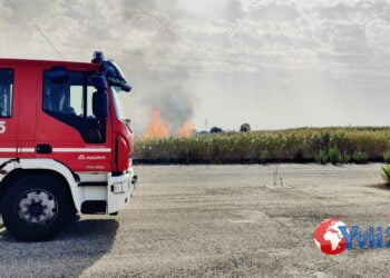 Catania. Sterpaglie prendono fuoco in zona sud, due gli interventi