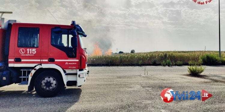 Catania. Sterpaglie prendono fuoco in zona sud, due gli interventi