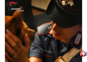 La cagnolina abbandonata a calci dal suo precedente padrone, denunciato, è stata adottata da una Carabiniera