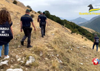 Con l’Operazione “Transumanza” la GdF di Pescara ha sgominato un’organizzazione che faceva apparire pascoli fantasma. 75 indagati