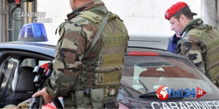 Prov. Catania. Abbeverano piante canapa, due arresti