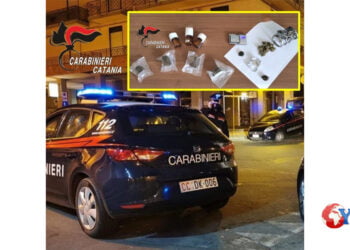 I Carabinieri della Stazione di San Michele di Ganzaria hanno arrestato un 33 del posto per spaccio di droga per tutti i gusti