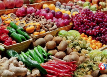 L’assessorato all’agricoltura ha pubblicato dei bandi diretti a giovani agricoltori, strade, diversificazione. Interessati anche i Gal