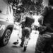 Arrestato dalla Polizia di Stato di Palermo un 25enne su una nave di trasporto passeggeri e mezzi da Genova a Palermo