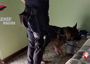 I CC della Compagnia di Modica hanno arrestato una coppia per spaccio di cocaina. Una casalinga deteneva cocaina in casa
