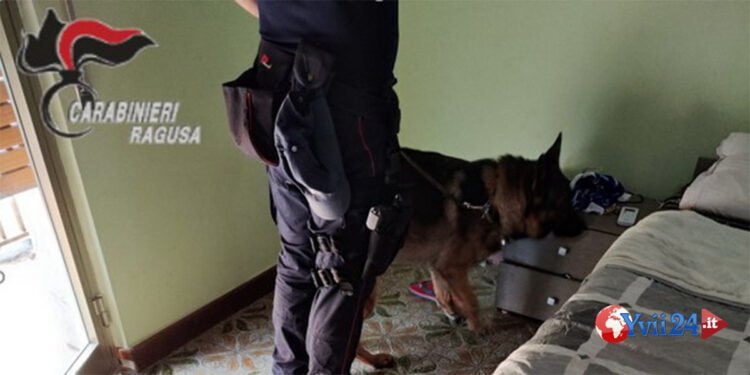 I CC della Compagnia di Modica hanno arrestato una coppia per spaccio di cocaina. Una casalinga deteneva cocaina in casa