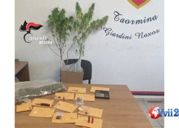 Sicilia. Droga party con marijuana, hashish e cocaina