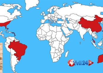 La ‘formica di fuoco’ è una delle specie più invasive ed è arrivata anche in Italia, sono 88 i nidi individuati in Sicilia
