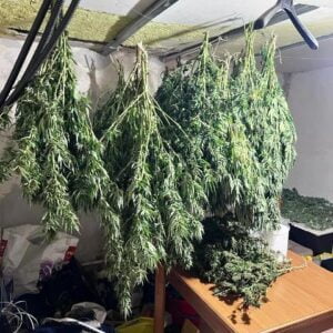 I Commissariati di Lentini e Noto hanno arrestato rispettivamente 2 spacciatori