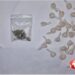Catania. Eroina e marijuana in casa, due arresti