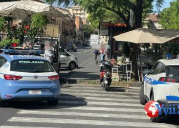Catania. Invade attraversamento pedonale, fioraio sanzionato