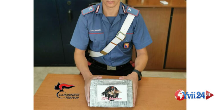 I CC della Compagnia di Trapani hanno arrestato a Misiliscemi una coppia di palermitani con 1 kg di cocaina nascosta in auto
