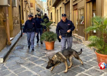 Il cane poliziotto della Squadra Mobile di Caltanissetta ha fiutato in casa di un 50enne la cocaina e l’hashish nascoste in un mobile