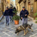 Il cane poliziotto della Squadra Mobile di Caltanissetta ha fiutato in casa di un 50enne la cocaina e l’hashish nascoste in un mobile