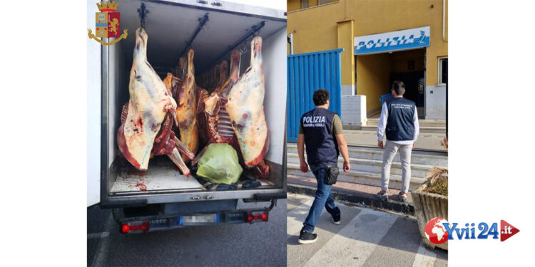 Concluse le indagini dalla Polizia di Stato di Enna per macellazione abusiva, 15 indagati, siciliani, calabresi e piemontesi