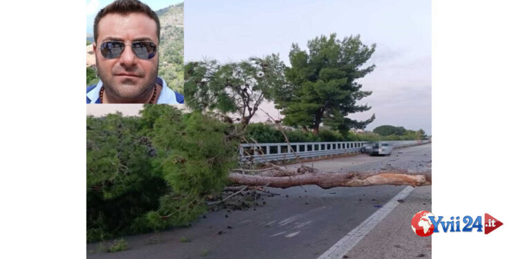 Un albero è caduto sull’A20 e un’auto è sbattuta contro sbandando e finendo la corsa contro il guardrail. L’uomo alla guida è morto