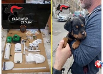 I CC della Compagnia di Catania Piazza Dante (VIDEO) hanno arrestato 4 pusher nel quartiere San Cristoforo e liberato il cucciolo Dante