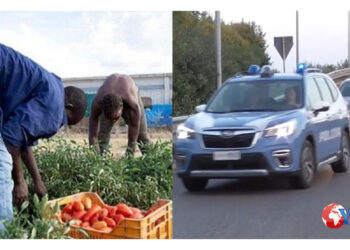 L’operazione è in corso nelle province di Trapani, Reggio Calabria, Barletta, Andria, Trani, Cuneo, Foggia, Latina, Matera e Prato