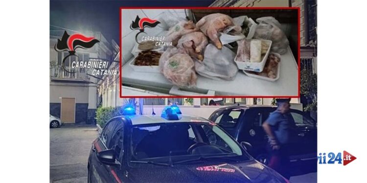 I CC della Compagnia di Giarre hanno passato al setaccio a Riposto, bar, pub, ristoranti e sospesa la licenza di un sushi