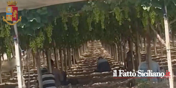 16 indagati per caporalato tra imprenditori agricoli e proprietari terrieri del territorio nisseno e di quello agrigentino
