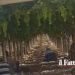 16 indagati per caporalato tra imprenditori agricoli e proprietari terrieri del territorio nisseno e di quello agrigentino