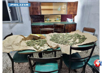 Arrestato dalla Polizia di Stato di Messina, a Santa Lucia sopra Contesse coltivava in giardino la marijuana la essiccava in uno stabile