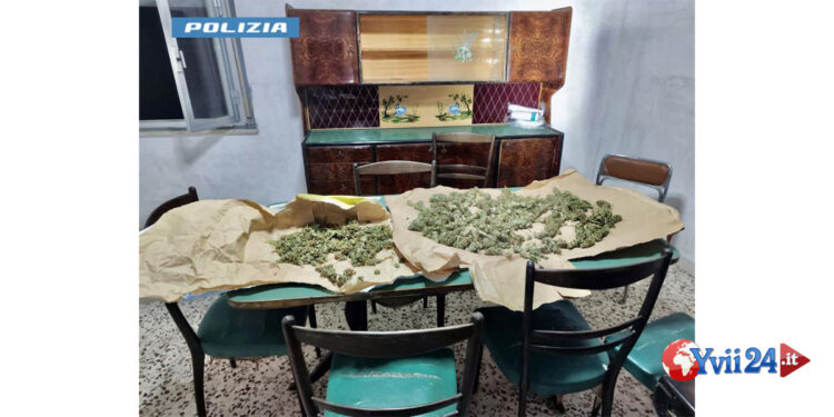 Arrestato dalla Polizia di Stato di Messina, a Santa Lucia sopra Contesse coltivava in giardino la marijuana la essiccava in uno stabile