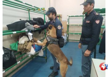 La Polfer siciliana (VIDEO STAZIONE PALERMO) ha controllato ieri 1104 persone e 135 bagagli nelle principali stazioni ferroviarie centrali