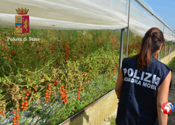 Denunciato dalla Squadra mobile di Ragusa il titolare di un’azienda agricola con 20 lavoratori stranieri in violazione di norme