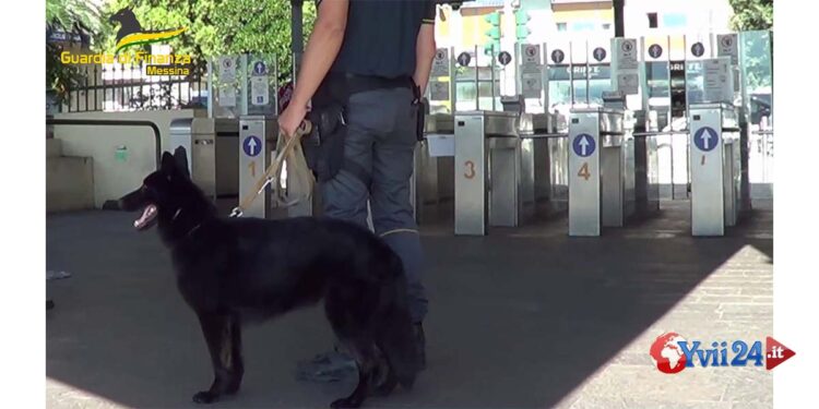 Arrestato all’imbarcadero dalla GdF di Messina uno straniero con 1,5 kg di hashish nel trolley che non è sfuggito cane antidroga Urban