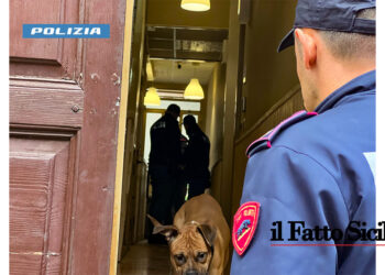 Le Volanti della Questura di Catania hanno individuato e arrestato un 40enne che aveva tentato di rapinare un 70enne