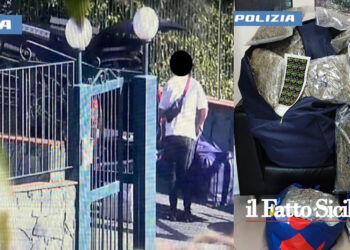 Arrestati due albanesi di 26 e 20 anni dalla Polizia di Catania che trasportavano 60 kg di marijuana, rinvenuti anche 640 g di hashish