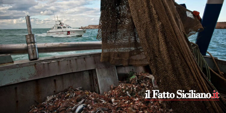 La Guardia costiera con l’ Operazione Spinnaker ha incrementato i controlli sui prodotti ittici in tutta la Penisola