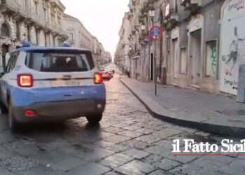 La Polizia di Stato (VIDEO) sta eseguendo in 14 province, tra le quali Catania e Palermo, un’operazione contro le gang giovanili