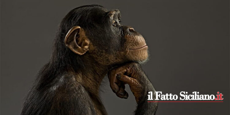 Il 57° rapporto del Censis sulla società italiana descrive i suoi cittadini sonnambuli, ciechi. L’OPINIONE: annosi figli di uno Stato decadente