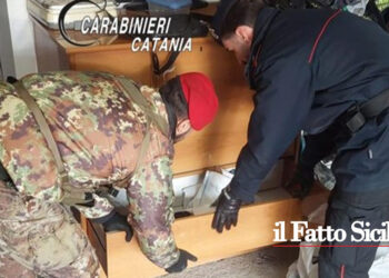 I CC della Stazione di Mazzarrone hanno arrestato due giovani fratelli per spaccio di marijuana, hashish, cocaina ed eroina