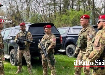 I CC di Paternò hanno denunciato un 73enne pregiudicato di Santa Maria di Licodia che nascondeva la cocaina tra le pietre nel proprio terreno