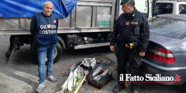 La GdF di Messina nel fine settimana, congiuntamente alla Capitaneria di Porto, ha eseguito accertamenti nei mercati ittici rionali