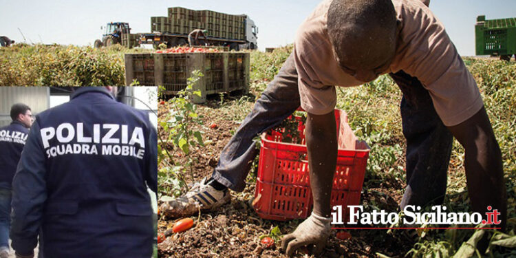 Denunciato imprenditore agricolo dal Commissariato di Vittoria per sfruttamento del lavoro straniero e alloggi antigenici e degradanti