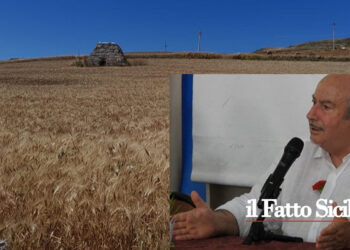 Gli agricoltori e i commercianti di Marianopoli chiedono l’attribuzione del giusto valore per il grano siciliano a sostegno della produzione