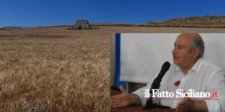 Gli agricoltori e i commercianti di Marianopoli chiedono l’attribuzione del giusto valore per il grano siciliano a sostegno della produzione