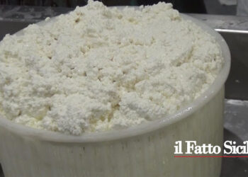 Adrano. Questa sera la Sagra della ricotta e la Cassata più lunga della Sicilia