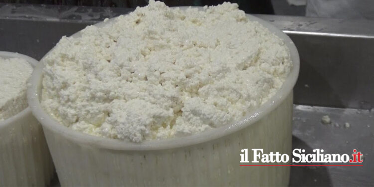 Adrano. Questa sera la Sagra della ricotta e la Cassata più lunga della Sicilia