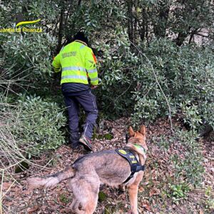 I militari del Soccorso Alpino della Guardia di Finanza di Nicolosi ha ritrovato un escursionista disperso sul versante sud dell'Etna