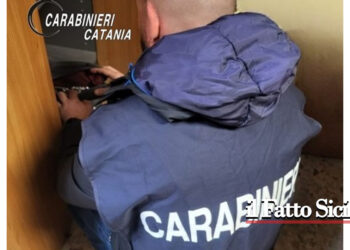 Per lo spaccio usava la casa della nonna il 20enne arrestato dai CC "Lupi". La marijuana, amnesia e skunk spacciata, cos'è ?